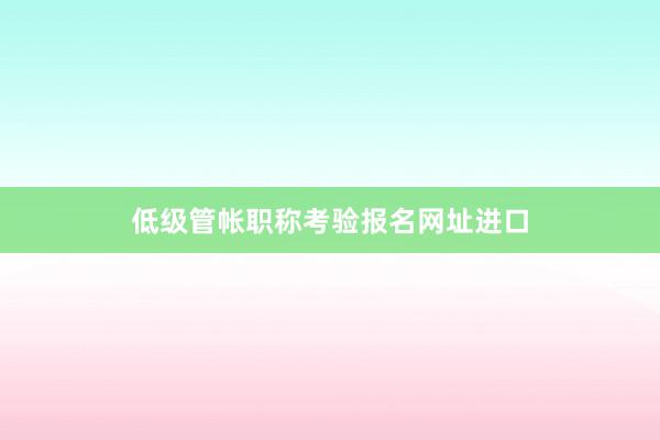 低级管帐职称考验报名网址进口