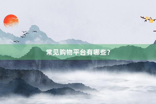 常见购物平台有哪些？