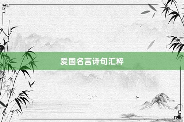 爱国名言诗句汇粹