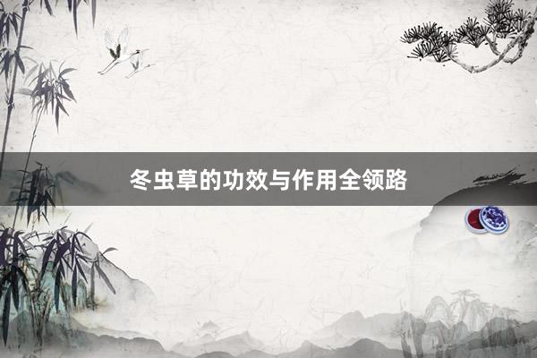冬虫草的功效与作用全领路